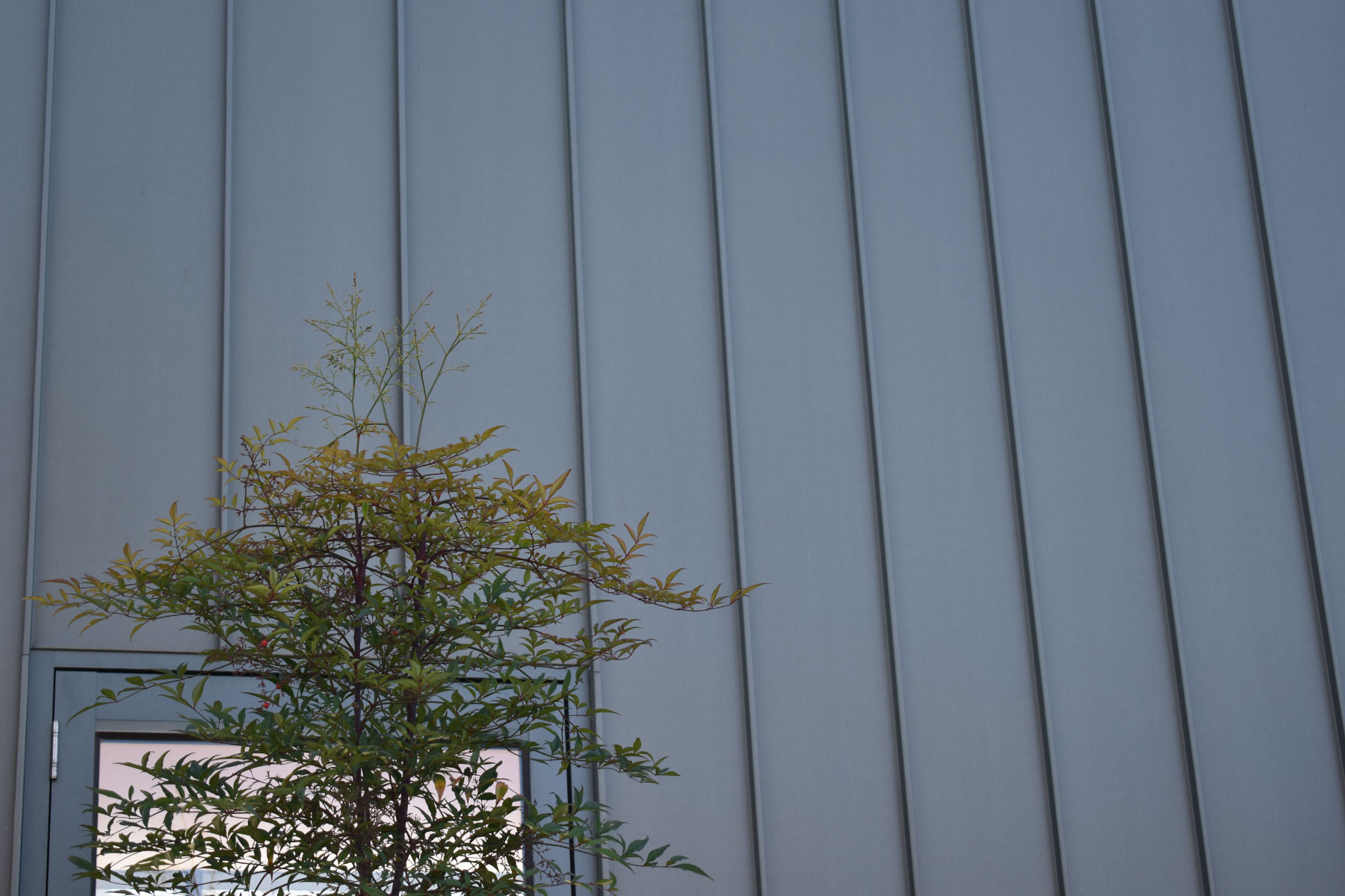 standing-seam-1